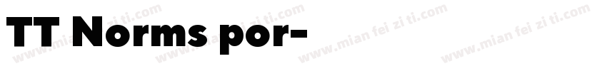 TT Norms por字体转换